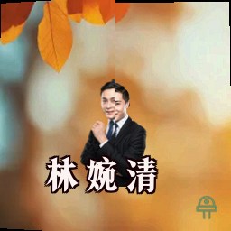 林婉清
